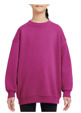 Toddler/Preschool Girls' Yoga Crew Neck Long Sleeve